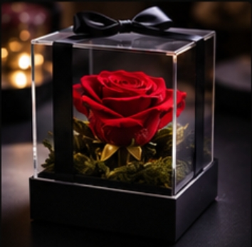 Preserved Rose Display